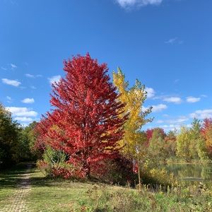 Meet your Posher, Alvin